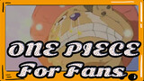 ONE PIECE| Vedio makes fans of ONE PIECE cry