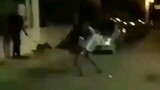 Seorang pria menggunakan alat kelaminnya untuk mengejek polisi dan digigit anjing polisi.