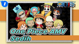 [One Piece AMV] Kamu Masih Ingat Adegan Sedih Itu?_1