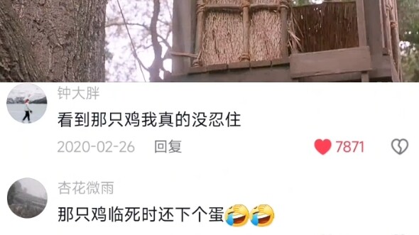 看到那只鸡我真的没忍住哈哈哈哈！