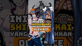 Shichibukai Yang Dikalahkan Ace Adalah "Raja Kadal" #onepiece #ace #luffy #portgasdace