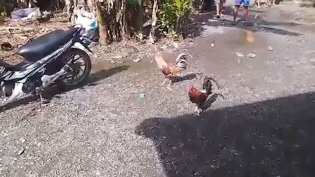unang laban Ng aking bulik