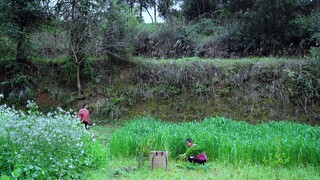 food and Nature