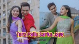 TERA PALU SARKA JAYE - Vina Fan version Parodi Recreate - Salman Khan Karisma Kapoor