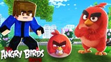 Minecraft - Who's Your Family? TREVINHO CUIDOU 24 HORAS DE RED ! ANGRY BIRDS O FILME !