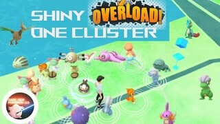 Unbelievable! Too many shiny in one cluster spawn!