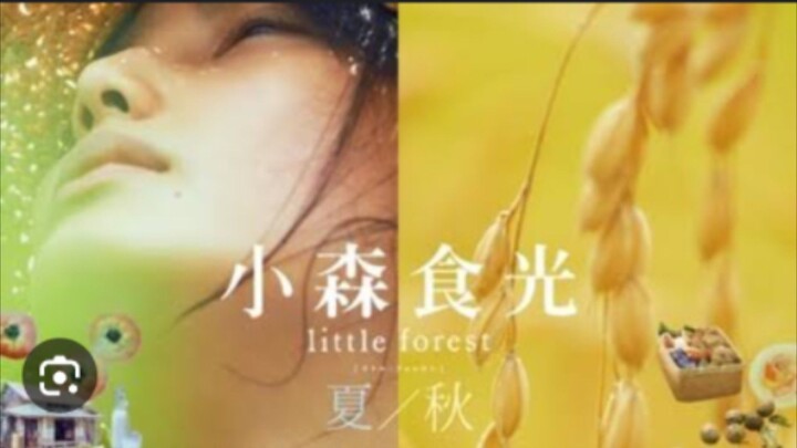 Little Forest : Summer/Autumn (2014) Sub Indonesia