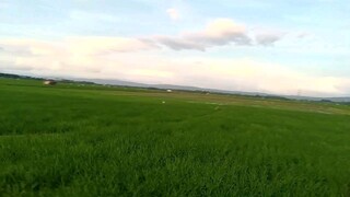 kabukirang tahimik