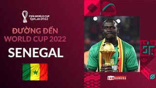 ĐƯỜNG ĐẾN WORLD CUP 2022: SENEGAL - NIỀM TỰ HÀO CỦA LỤC ĐỊA ĐEN