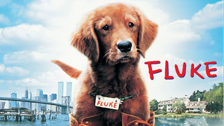 Fluke (1995)