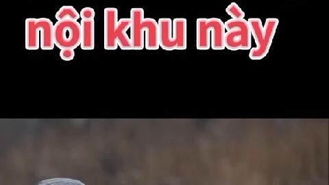 hàng lạnh gặp hàng nóng