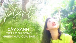 20 MÓN ĐỒ THỦ CÔNG: THÔNG ĐIỆP CÂY XANH, NGHỆ THUẬT SỐNG TỪ THIÊN NHIÊN| COCOHAND | #2