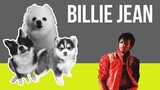 Billie Jean but it's Doggos and Gabe