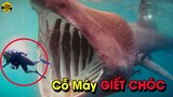 🔴Giải Mã 10 Loài Cá Mập Kỳ Dị Bị Nguyền Rủa Và Đáng Sợ Nhất Đại Dương...Ai Xem Xong Cũng Ngã Ngửa