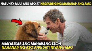 Muling NABUHAY ANG ASO AT NAGPURSIGING MAHANAP ANG DATI NIYANG AMO DAHIL SA...| TAGALOG MOVIE RECAPS