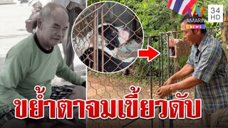 อเมริกันบุลลีขย้ำตา 70 ดับสยอง ลูกคนตายวอนเจ้าของรับผิดชอบ | ทุบโต๊ะข่าว | 25/7/67