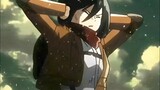 Siapa yang akan menolak wajah sanggul Mikasa?