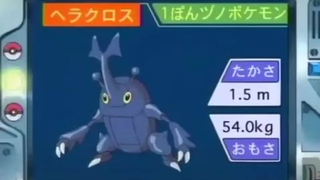 オーキド博士のポケモン講座(ヘラクロス)