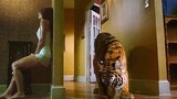 Trapped In A House With A Tiger That Hasn’t Eaten For 2 Weeks, What Are You Gonna Do...?