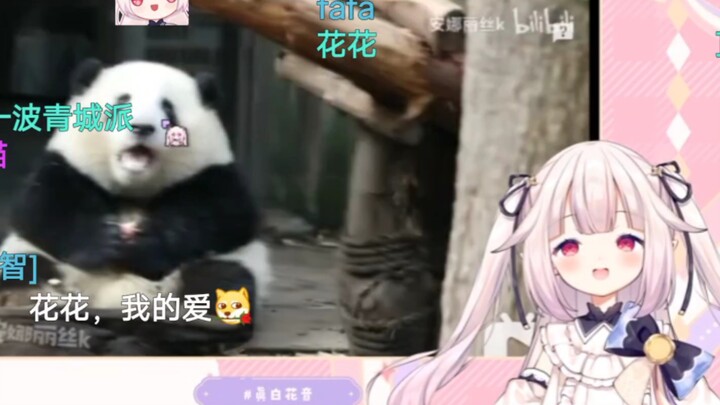 日本萝莉看《大熊猫和花的一个小苹果》被可爱的外表大受震撼
