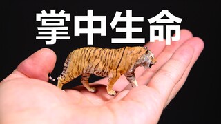 5cm的“掌中生命“长什么样？国内首款1/35 老虎gk开箱评测！