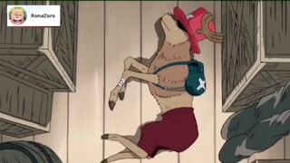 Luffy bị bỏ rơi... |#vua_hai_tac #one_piece