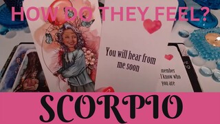 SCORPIO ♏💖WOW! ASKING ABOUT YOU🥳💖LOVE AT FIRST SIGHT❣️ 💖SCORPIO LOVE TAROT💝 LOVE TAROT