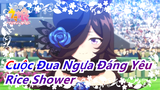 [Cuộc Đua Ngựa Đáng Yêu] Rice Shower là một cái tên có nghĩa điều ban lành