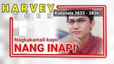 nagkakamali kayo ng INAPI   Kabanata 3833 - 3836   By NIDLA TV