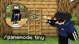I Secretly Used TINY Mod to Cheat in HIDE And SEEK (Minecraft)