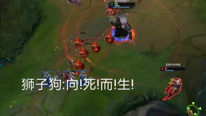 狮子狗:向!死!而!生!