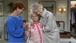 The Golden Girls S01E12.The.Custody.Battle