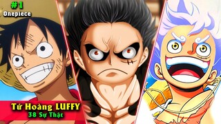 38 Sự Thật Luffy - Tứ Hoàng - Thần Mặt Trời Nika