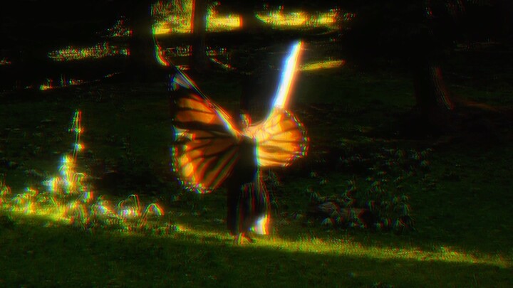 I wish I were a butterfly and only lived for three days in the summer