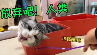 给猫减肥有多难？猪咪：今天我要抬下屁股算我输！