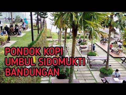 PONDOK KOPI UMBUL SIDO MUKTI BANDUNGAN