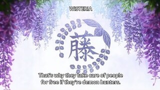 The history of wisteria