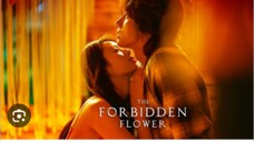 THE FORBIDDEN FLOWER Episode 12 Tagalog Dubbed