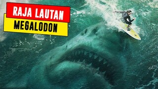 RAJA LAUTAN INI PERNAH HIDUP DI DUNIA DAN MENGUASAI LAUTAN - MEGALODON