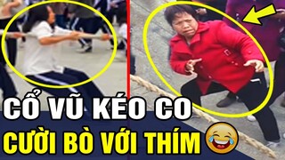 Những Tình Huống HÀI HƯỚC NHẤT Đảm Bảo Không Cười Không Lấy Tiền P 68 | Trùm Tin Hài