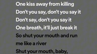 Bishop Briggs - River (lyrics)