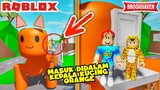 BANG BOY DAN UBA DI KUTUK MENJADI KUCING - BROOKHAVEN ROBLOX INDONESIA