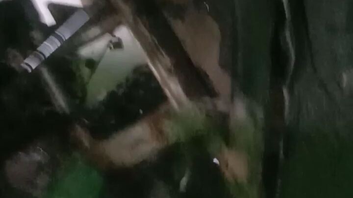 pembongkaran motor