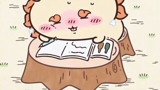 Chiikawa's own Chinese subtitles Episode 251 "Lion's Qualification Certificate ③"