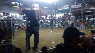 alimbuyugin 2nd fight 2-8-25 calauan laguna