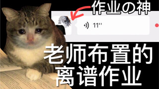 老师布置作业的方式能有多离谱【张勇的手机】