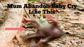 MY GOD!!, BABY MONKEY CRY VERY LOUDLY, WHY MUM LET BABY WALK DOWN UTILL LIKE THIS, BABY BRITTANY 01