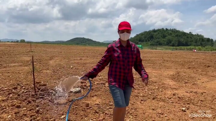 Sunareeสุนารีพาดูบรรยากาศไร่