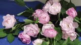 ใช้กระดาษชำระทำดอกกุหลาบปลอม ดอกไม้ประดิษฐ์จากกระดาษงานฝีมือ และการสอนทำดอกไม้กระดาษชำระ ต้นไม้เขียว