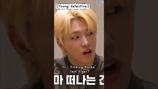 when dino said that this going seventeen episode is Finding Korea's Last Tiger 🐯🤣 #GOING_SVT